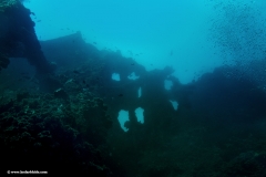 Wreck, Tulamben, US Army Liberty ship from Second world war