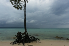 Havelock Island, Andamans