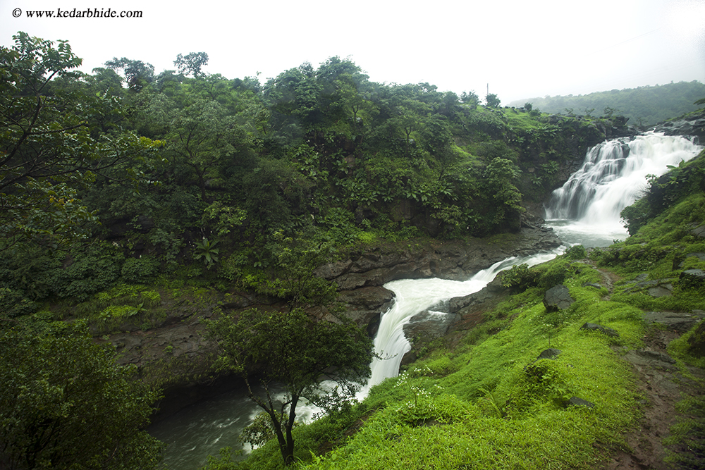 Bhimashankar Falls, Maharashtra