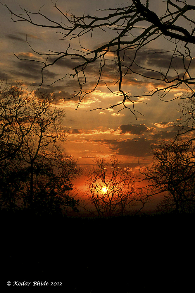 Sunrise at Tadoba National Park