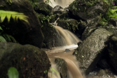 Namdapha National Park