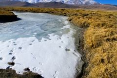 Tso Kar