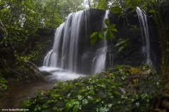 Agumbe Rainforest