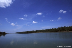 Sunderbans