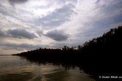 Sunderbans