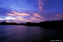Sunderbans