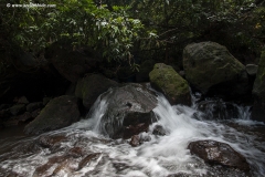 Palasamba, Maharashtra