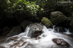 Palasamba, Maharashtra