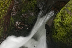 Palasamba, Maharashtra